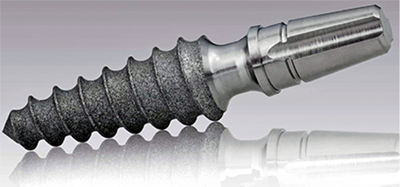 prosthesis on implants